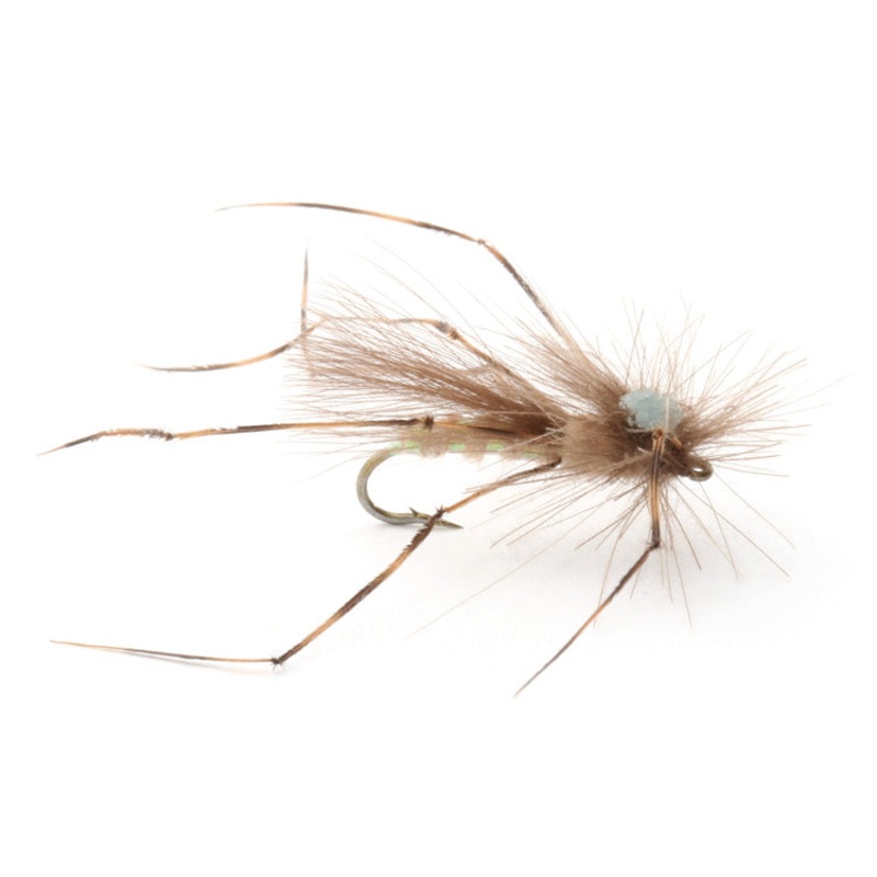 CDC Daddy Long Legs|12