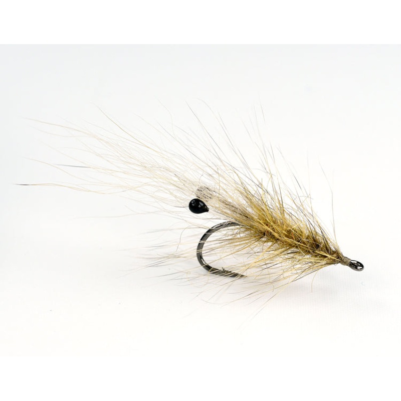 Coyote Grisen|6