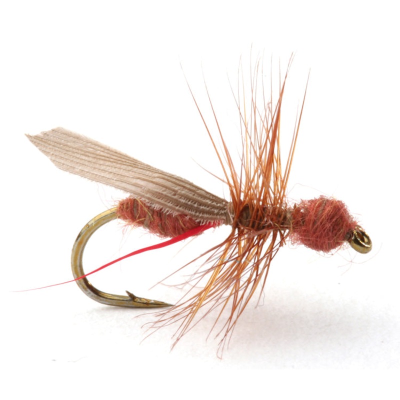 Flying Ant | Flygmyra rd|12|14|16