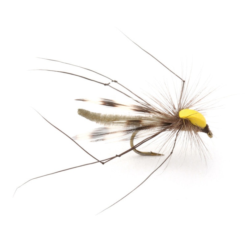 Parachute Long Legs|10