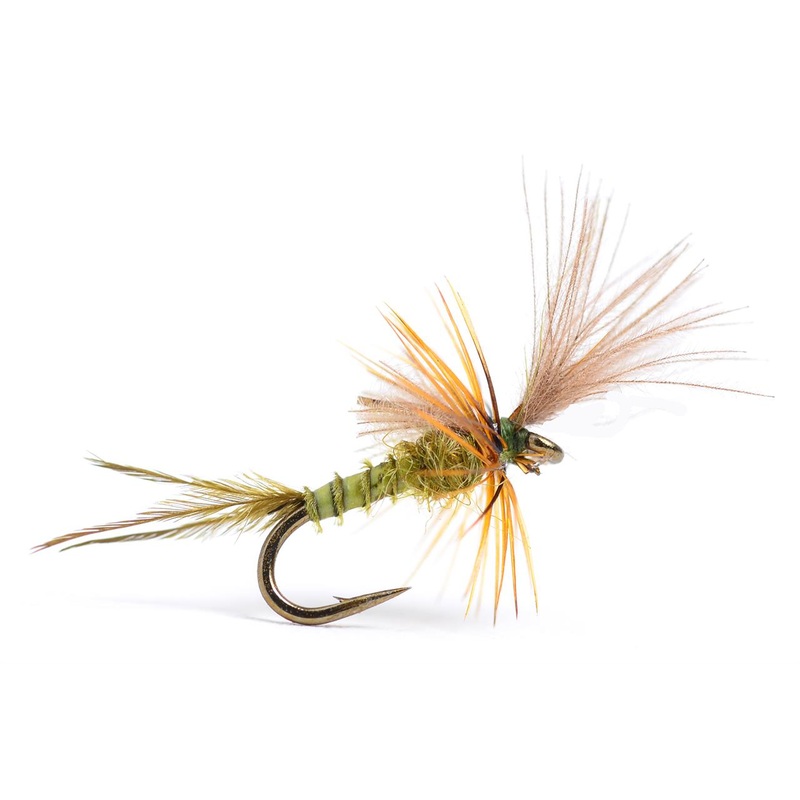 Quigley Cripple BWO|14|16|18
