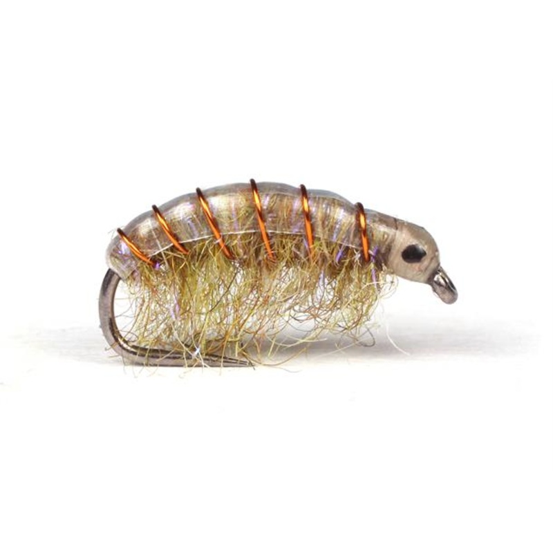 UV Gammarus Oliv|8