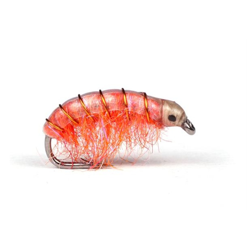 UV Gammarus Orange|8