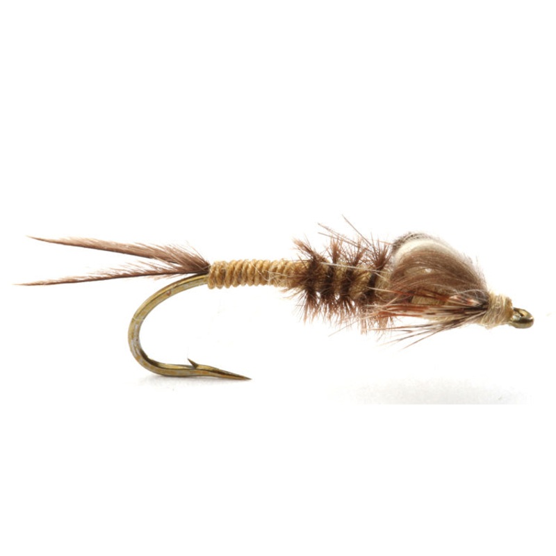 Vulgata Klcker|8|10