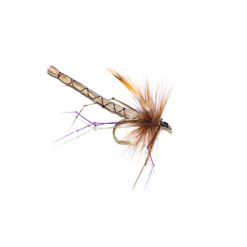 Brown Daddy|10|12