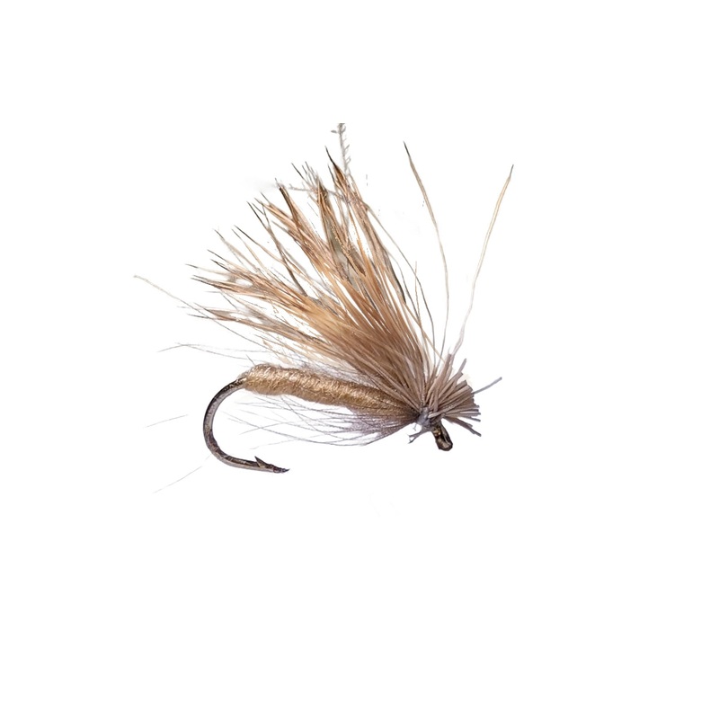 CDC Elk Hair Caddis|10|12|14