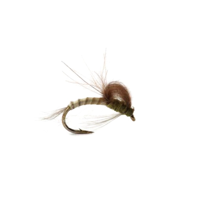 CDC Loop Wing Emerger|Olive|Gr|14|16|18