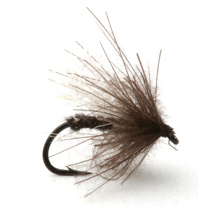 CDC Myggan|16|18