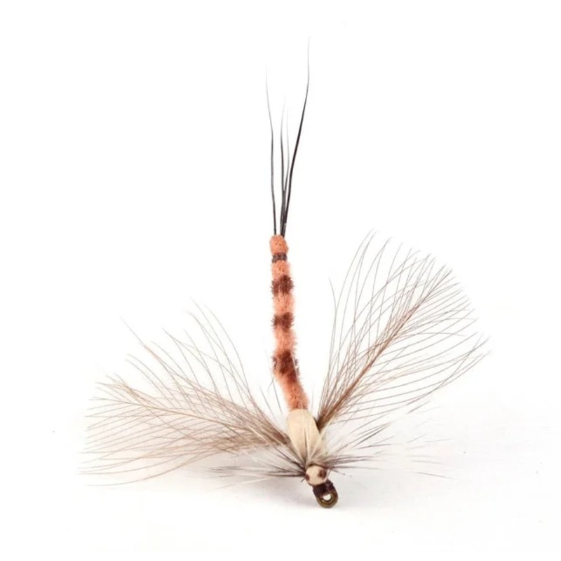 Danica Spent Spinner|10