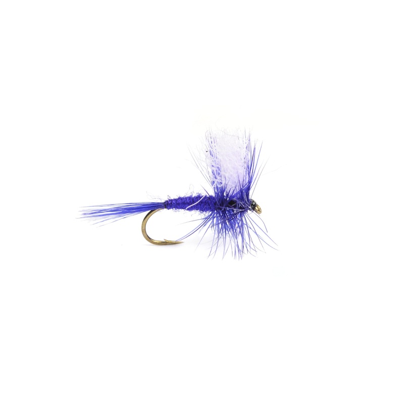 Deep Purple Dry|12