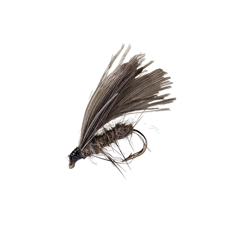 F-Fly Klassiker|12|14|16
