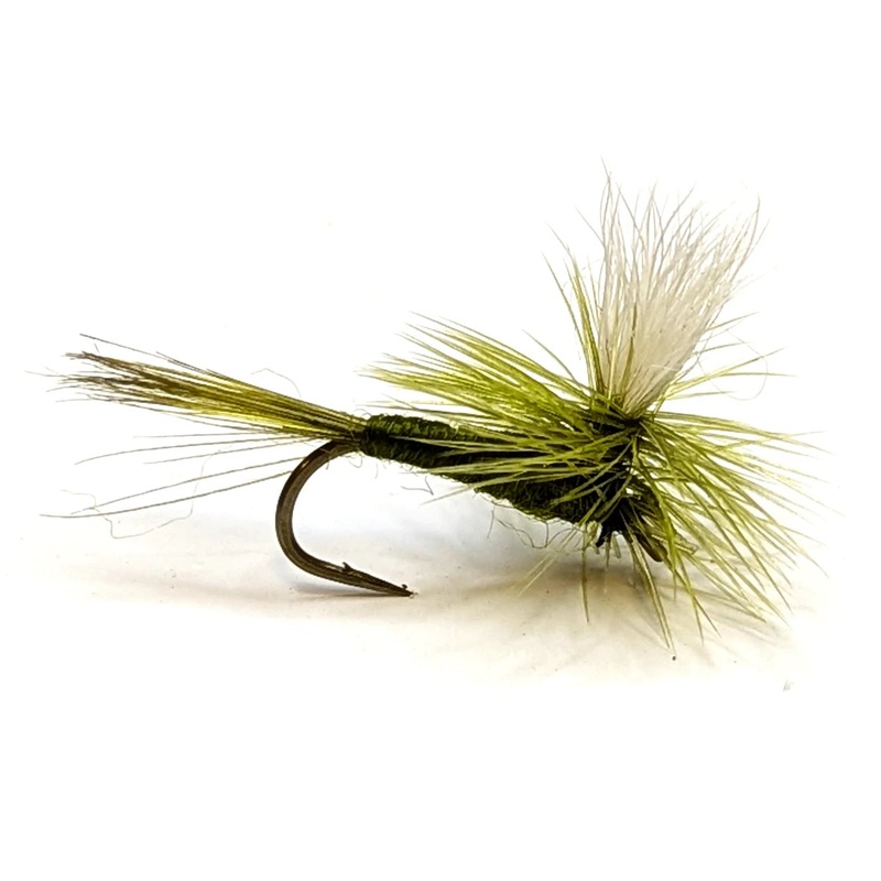 Olive Parachute|12|14