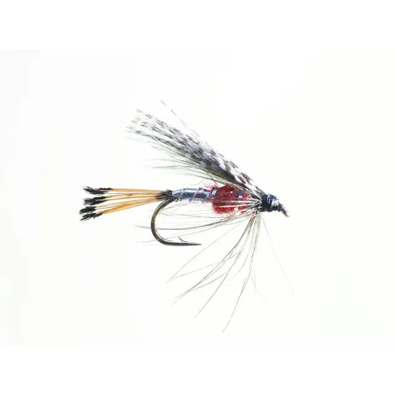 Peter Ross SH|8|10|12