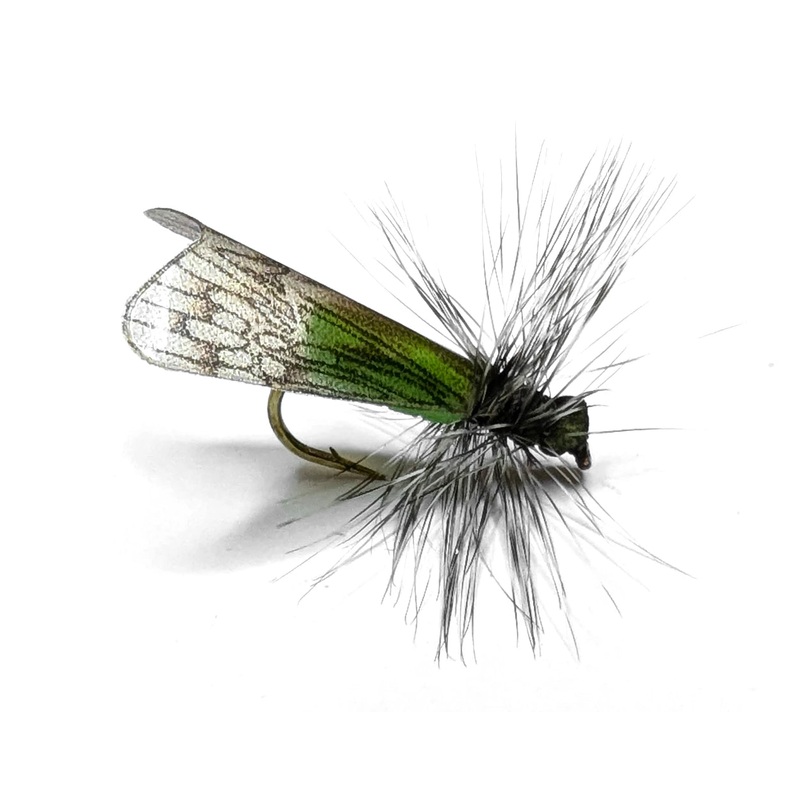 Vania | Apple Caddis|10|12|14