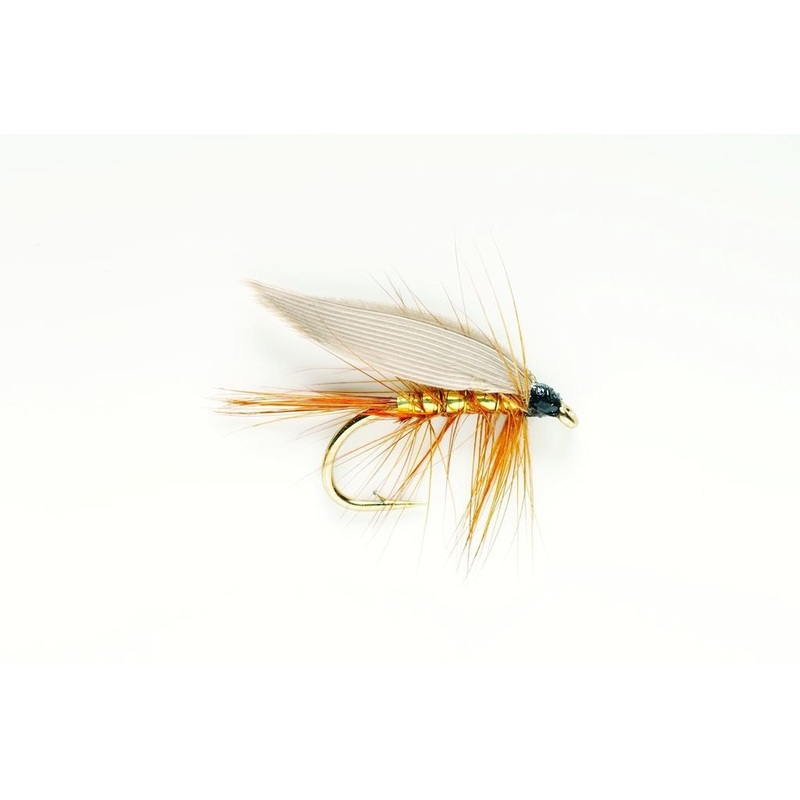 Wickhams Fancy|12|14