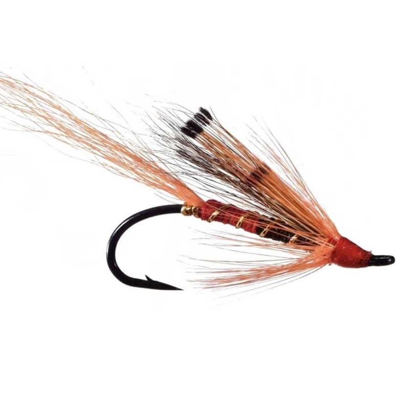 Alleys Shrimp|4|6|8
