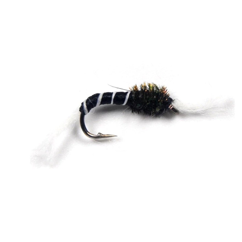 Black Buzzer|16|18|20