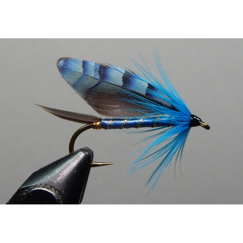 Blue Jay Matuka|8