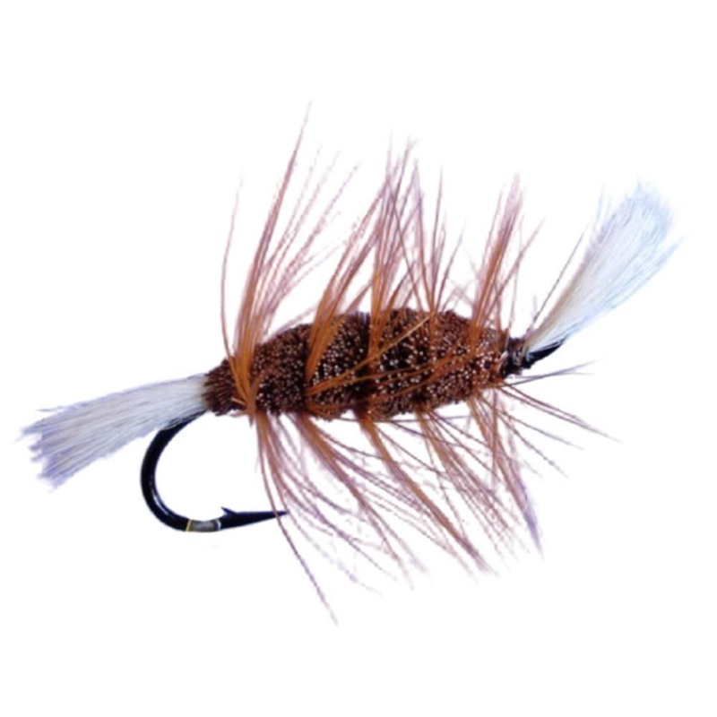 Bomber Brown|6