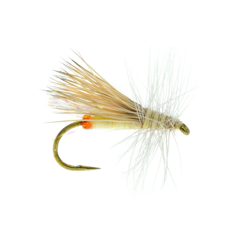 CADDIS SALLY|12|14|16