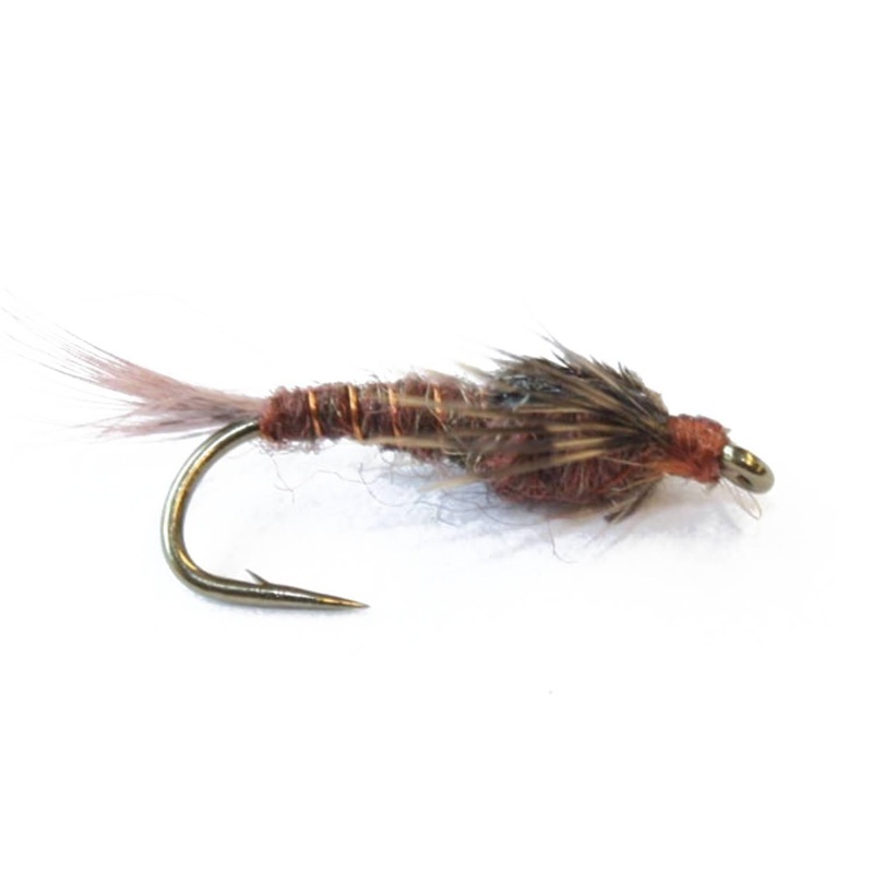 Niccos Straights L. E. Aurivillii Nymfe