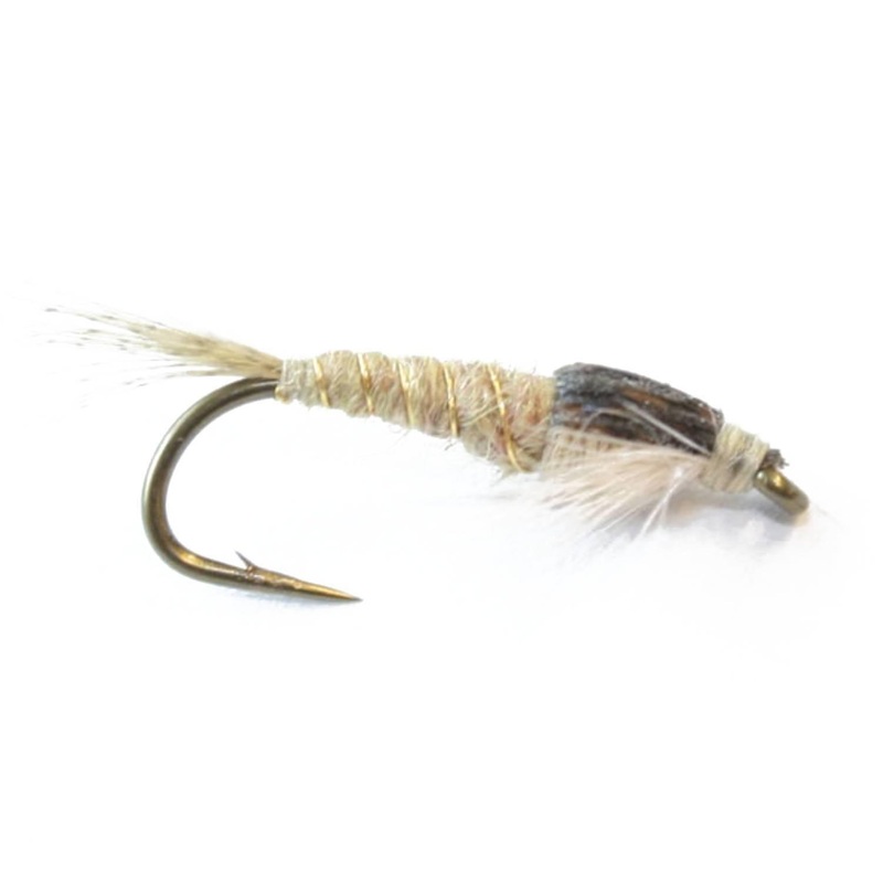 Niccos Straights L. H. Sulphurea Nymfe