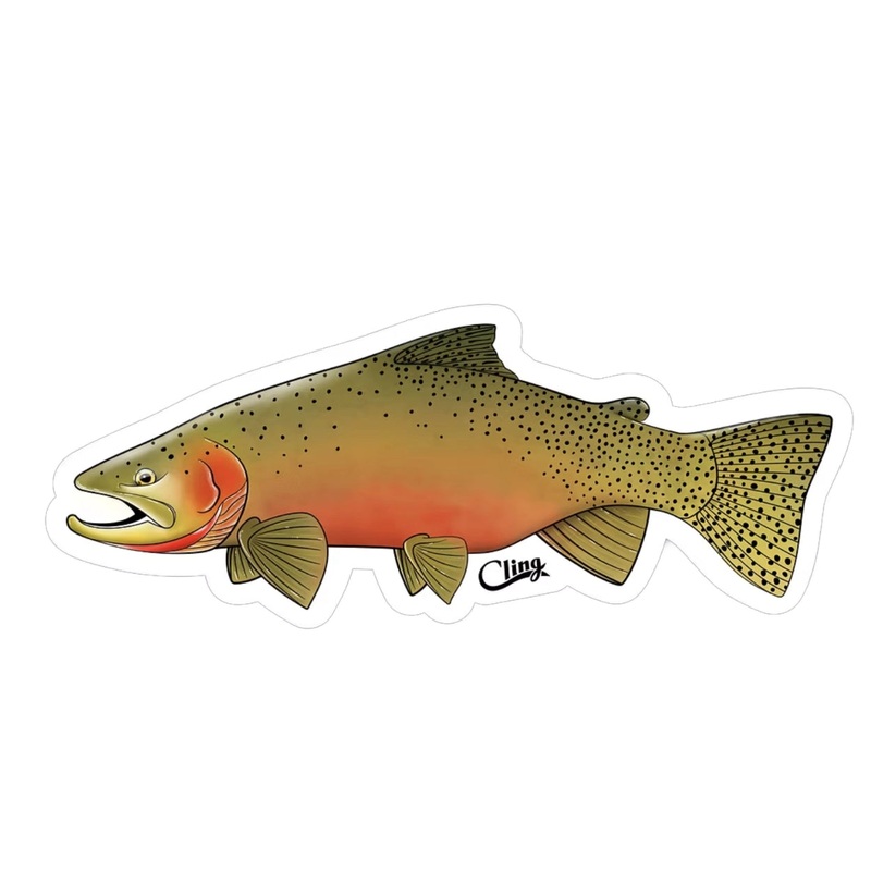 Westslope Cutthroat rret decal |  Klistremerke 12cm | Cling