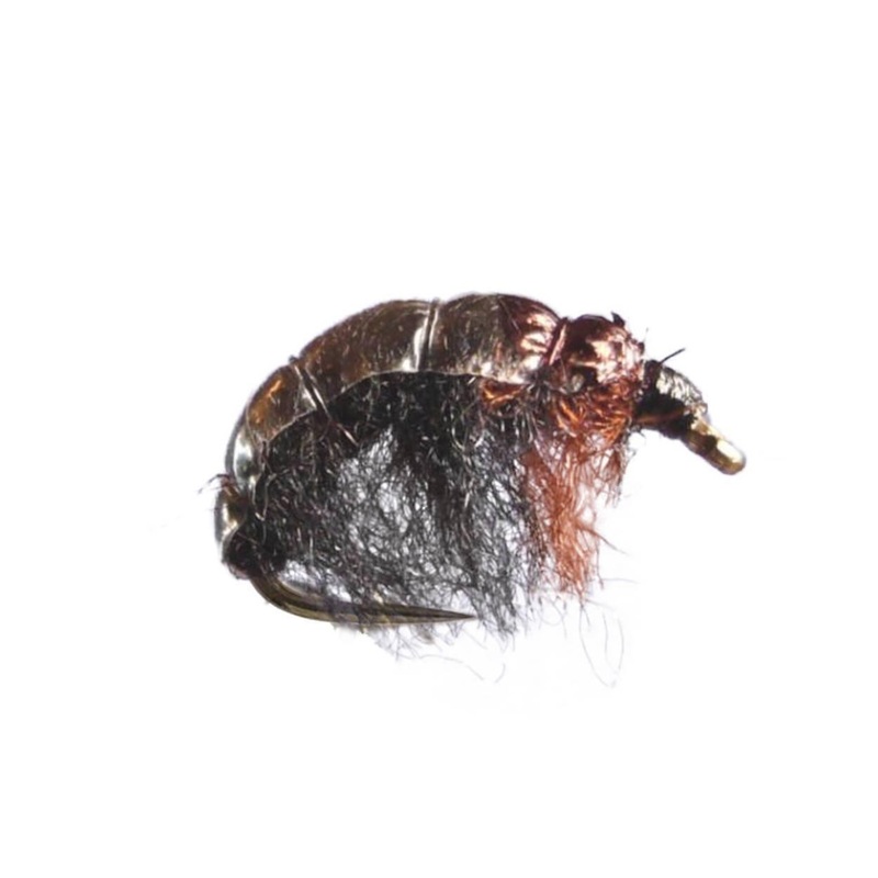 Czech Black/Brown|12|14|16