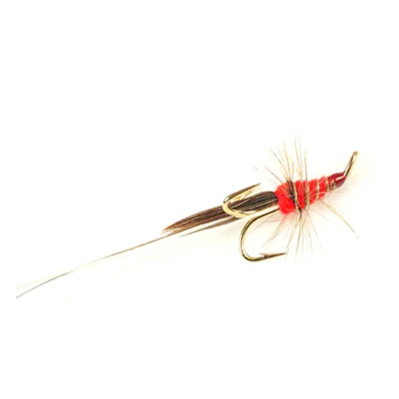 Frances Red Golden Treble|8