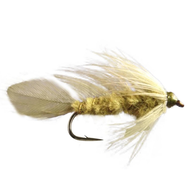 Matuka Olive|10