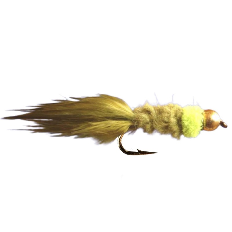 Tadpole Olive|10
