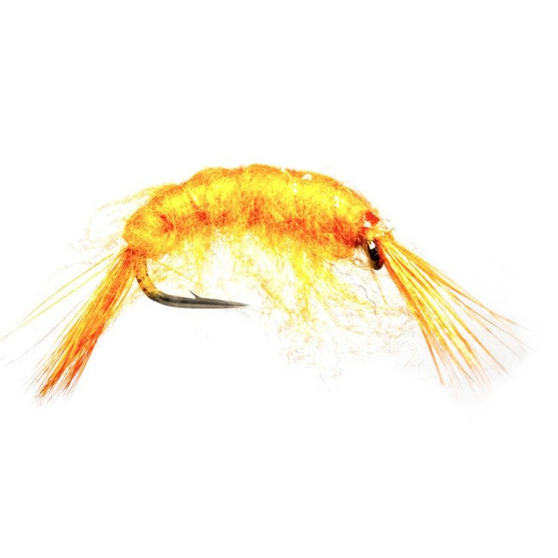 Tangloppe Mysis Orange|8