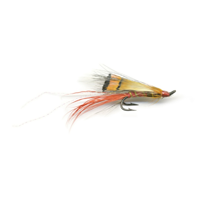 Alleys Shrimp DH|4|6