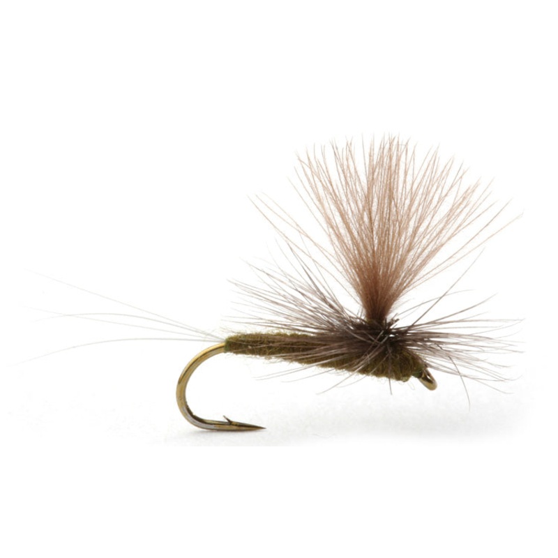 Baetis Dark Brown/Olive|14|16|18