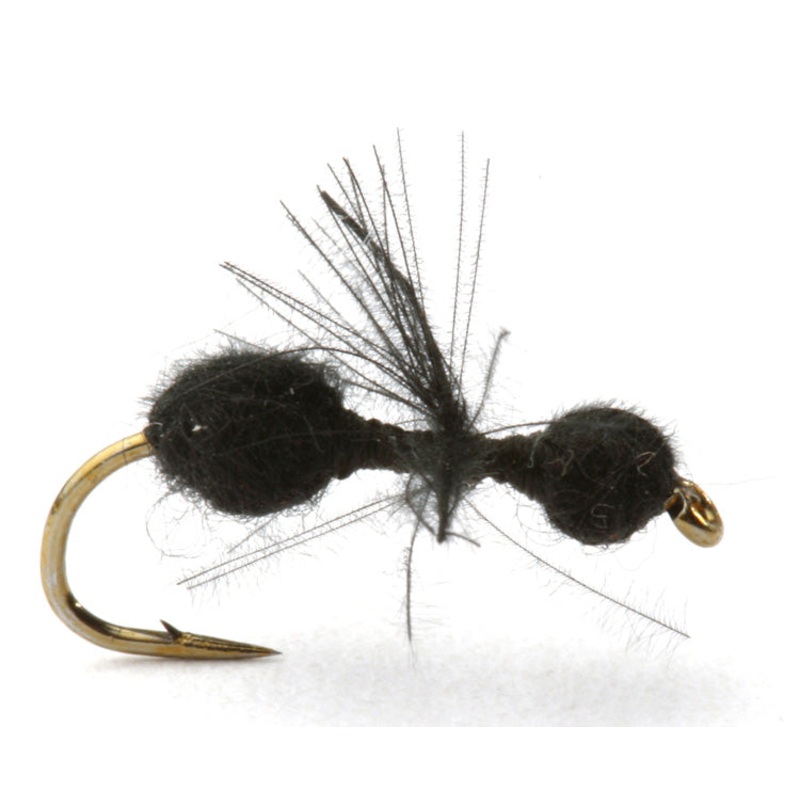 CDC Black Ant|14|16