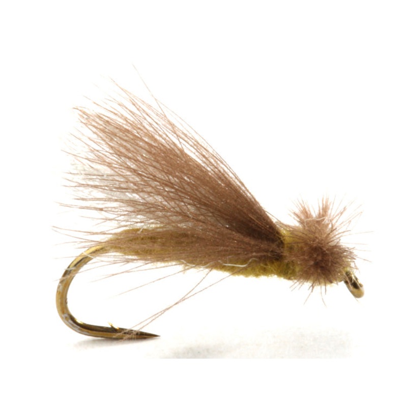 CdC Caddis Adult Olive|10|12|14