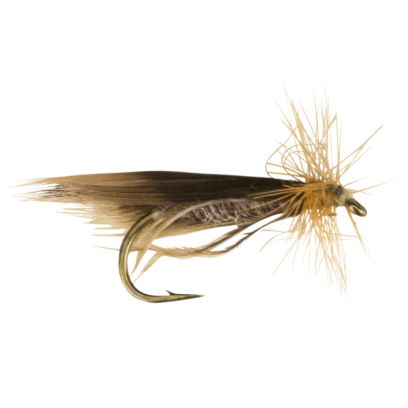 Europea 12 Brown|12