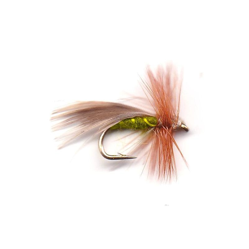 Europea 12 Olive|12