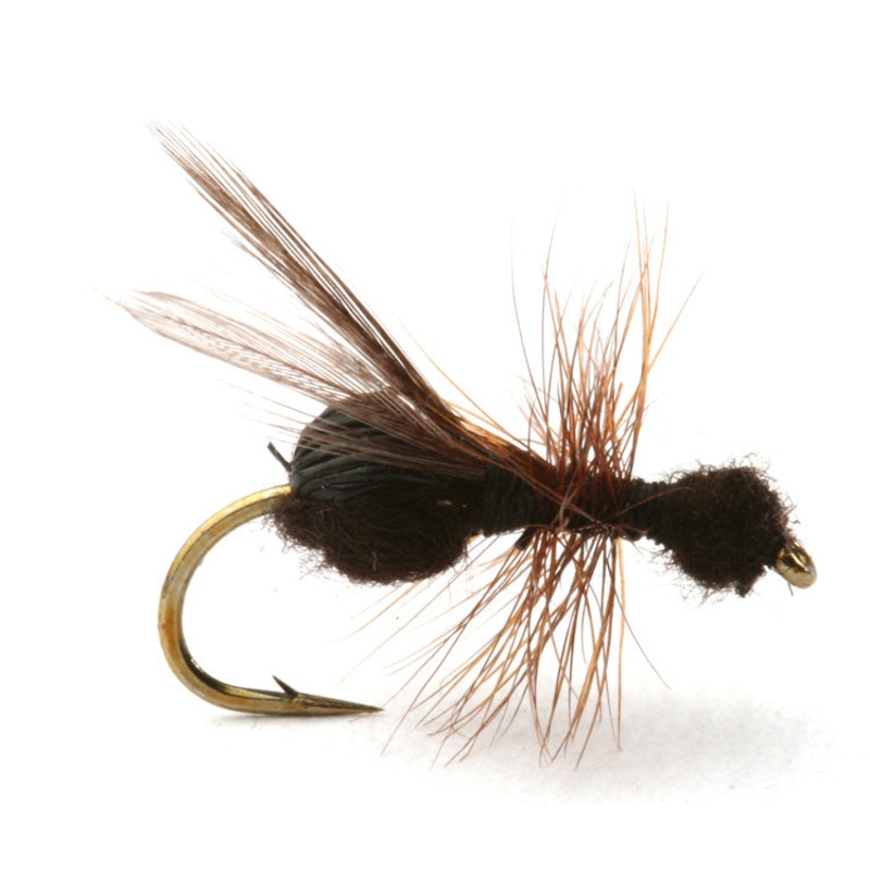 Flying Ant | Flyvemaur sort|12|14|16