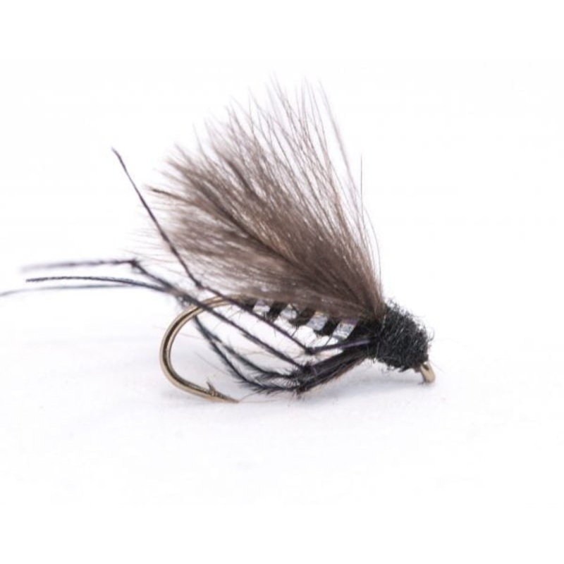 Holographic Black Hopper|10|12|14