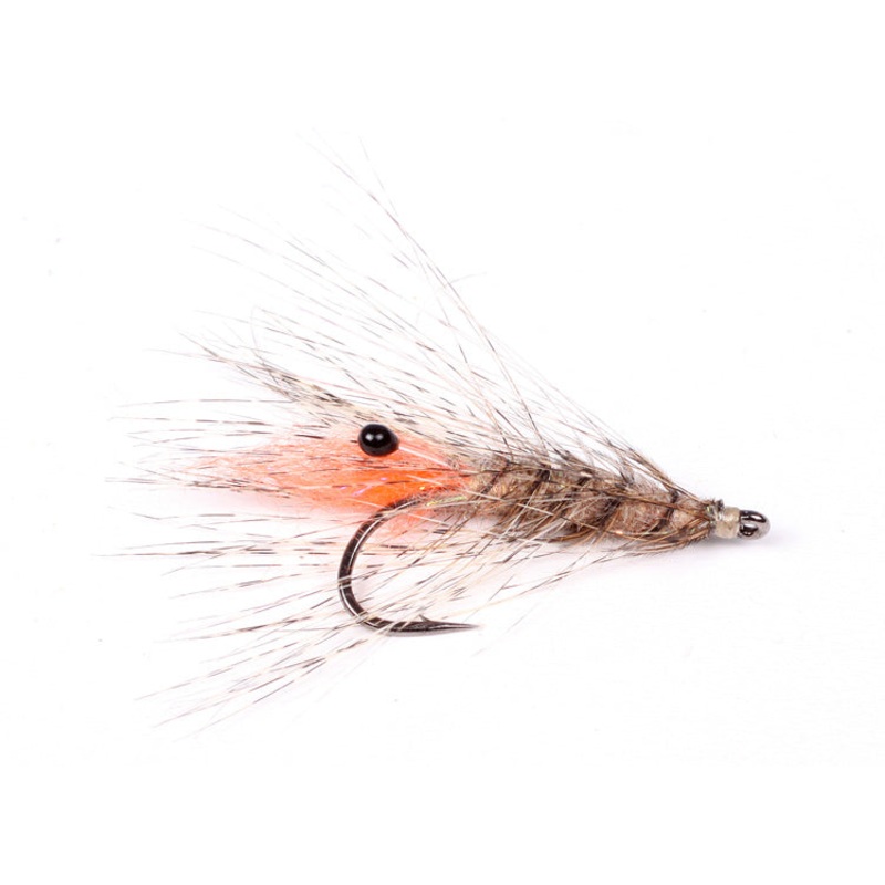 Laser Shrimp|6|8