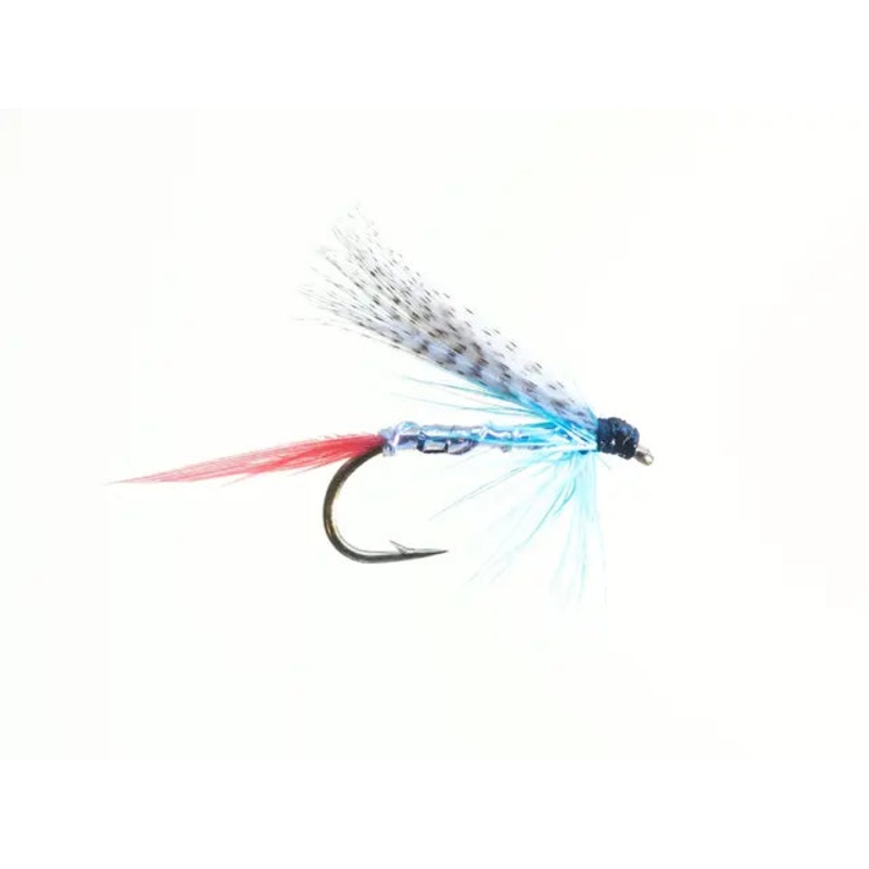 Telemarkskongen SH|8|10|12