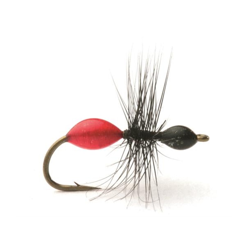 Transparant Ant|14