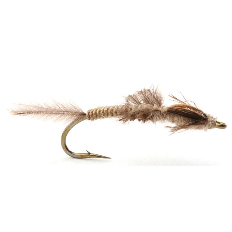 Vulgata Nymph|8