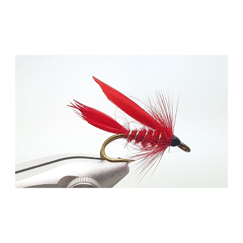 Cardinal Flua DH|10|12|14