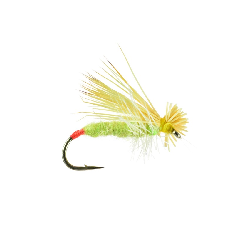 HAIRWING YELLOW SALLY|14|16