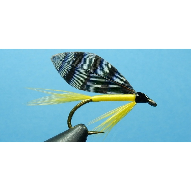 Jay Yellow fly|6|8|10