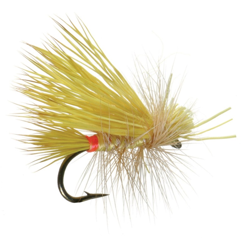 LITTLE YELLOW STONE CADDIS SALLY
