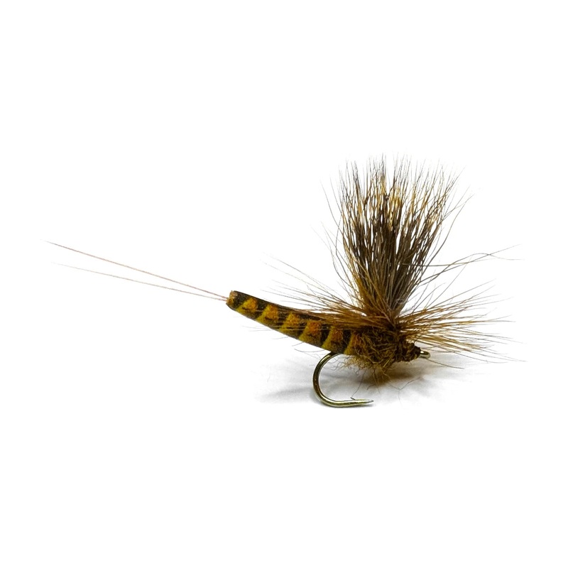 Vania | Elk Wing May Fly Brown
