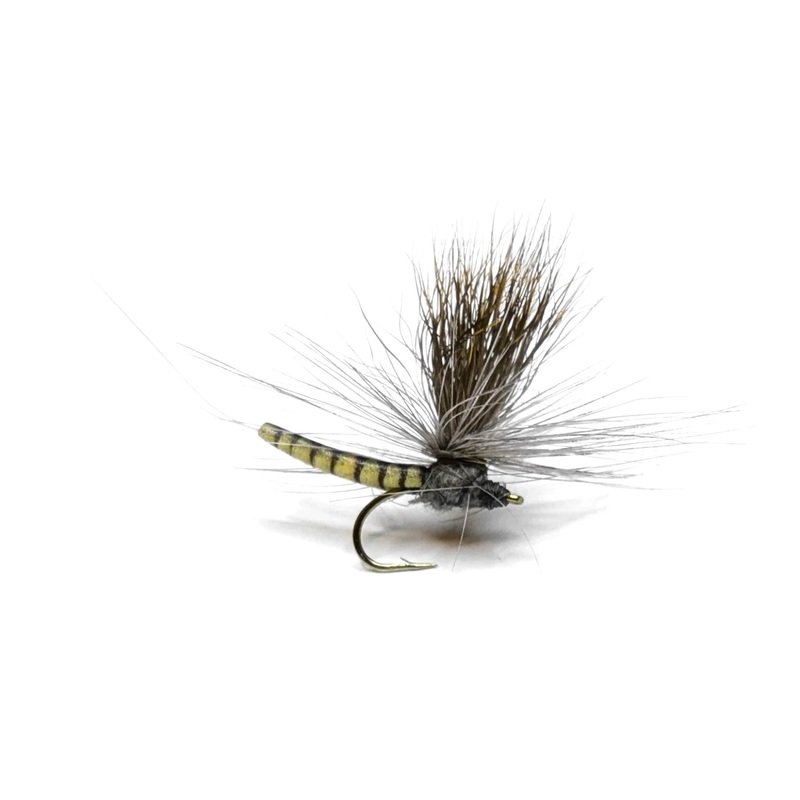 Vania | Elk Wing May Fly Grey|12|14